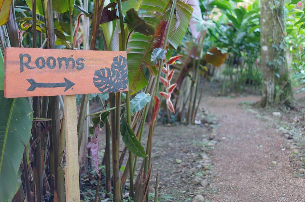 Finca Verde Lodge Bijagua Ngoại thất bức ảnh