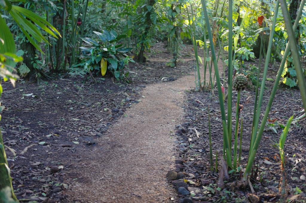 Finca Verde Lodge Bijagua Ngoại thất bức ảnh