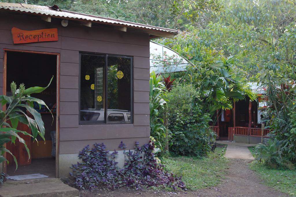 Finca Verde Lodge Bijagua Ngoại thất bức ảnh