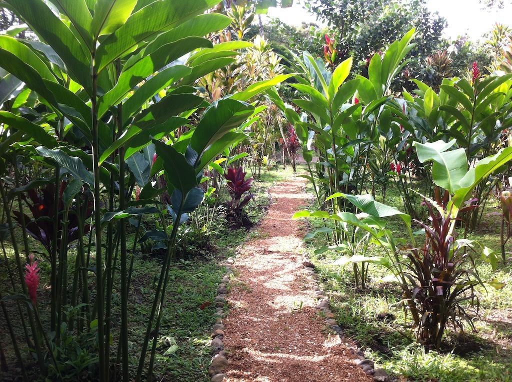 Finca Verde Lodge Bijagua Ngoại thất bức ảnh