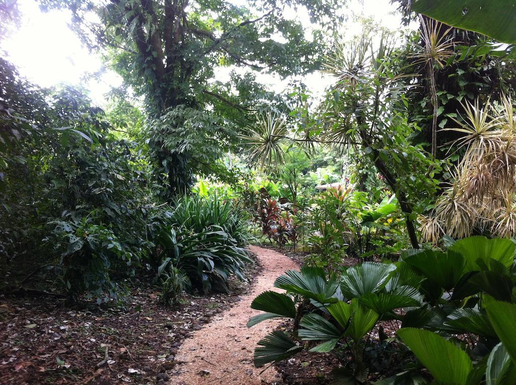 Finca Verde Lodge Bijagua Ngoại thất bức ảnh
