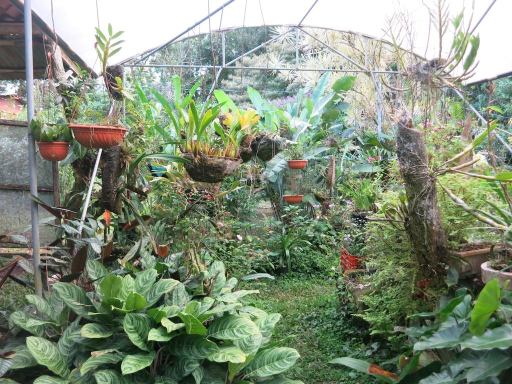 Finca Verde Lodge Bijagua Ngoại thất bức ảnh