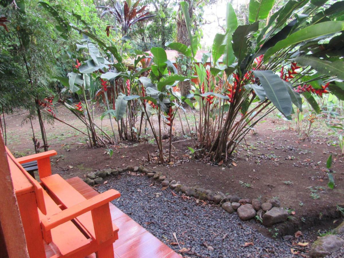 Finca Verde Lodge Bijagua Ngoại thất bức ảnh