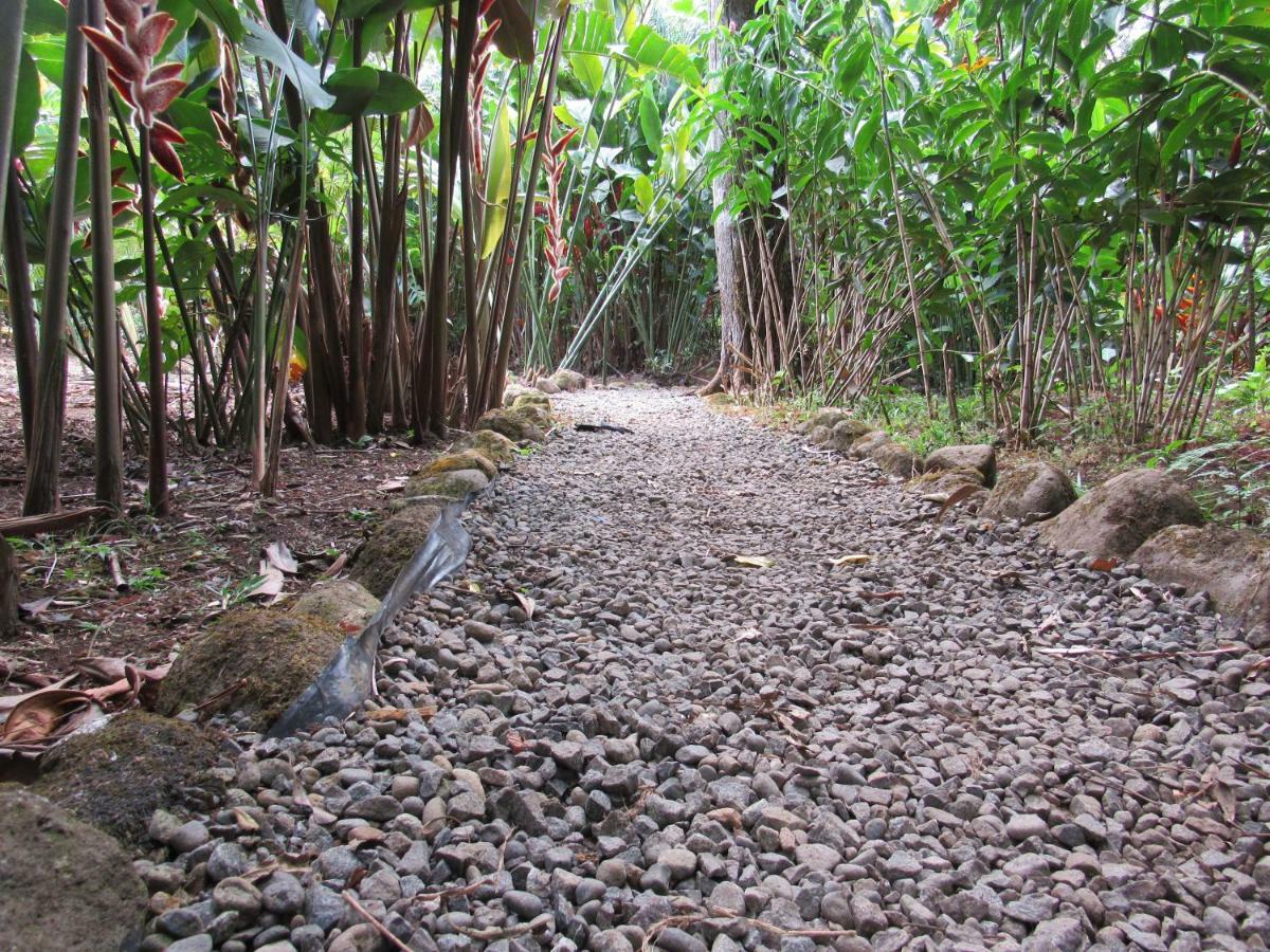 Finca Verde Lodge Bijagua Ngoại thất bức ảnh