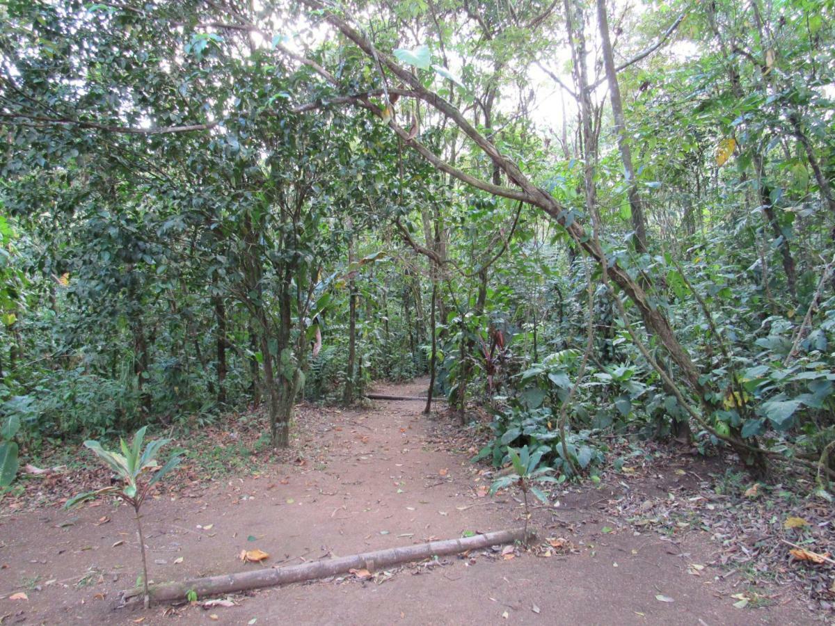 Finca Verde Lodge Bijagua Ngoại thất bức ảnh