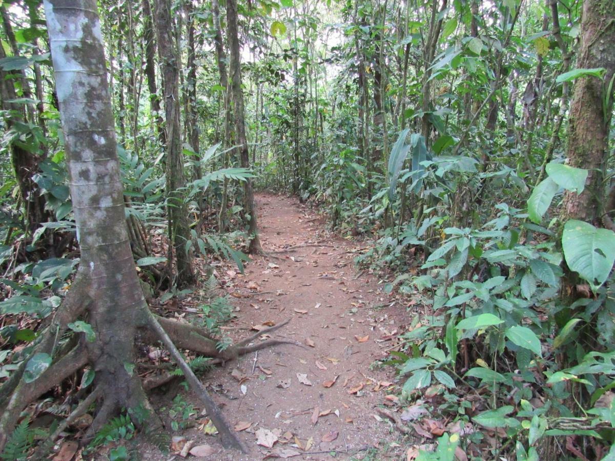 Finca Verde Lodge Bijagua Ngoại thất bức ảnh