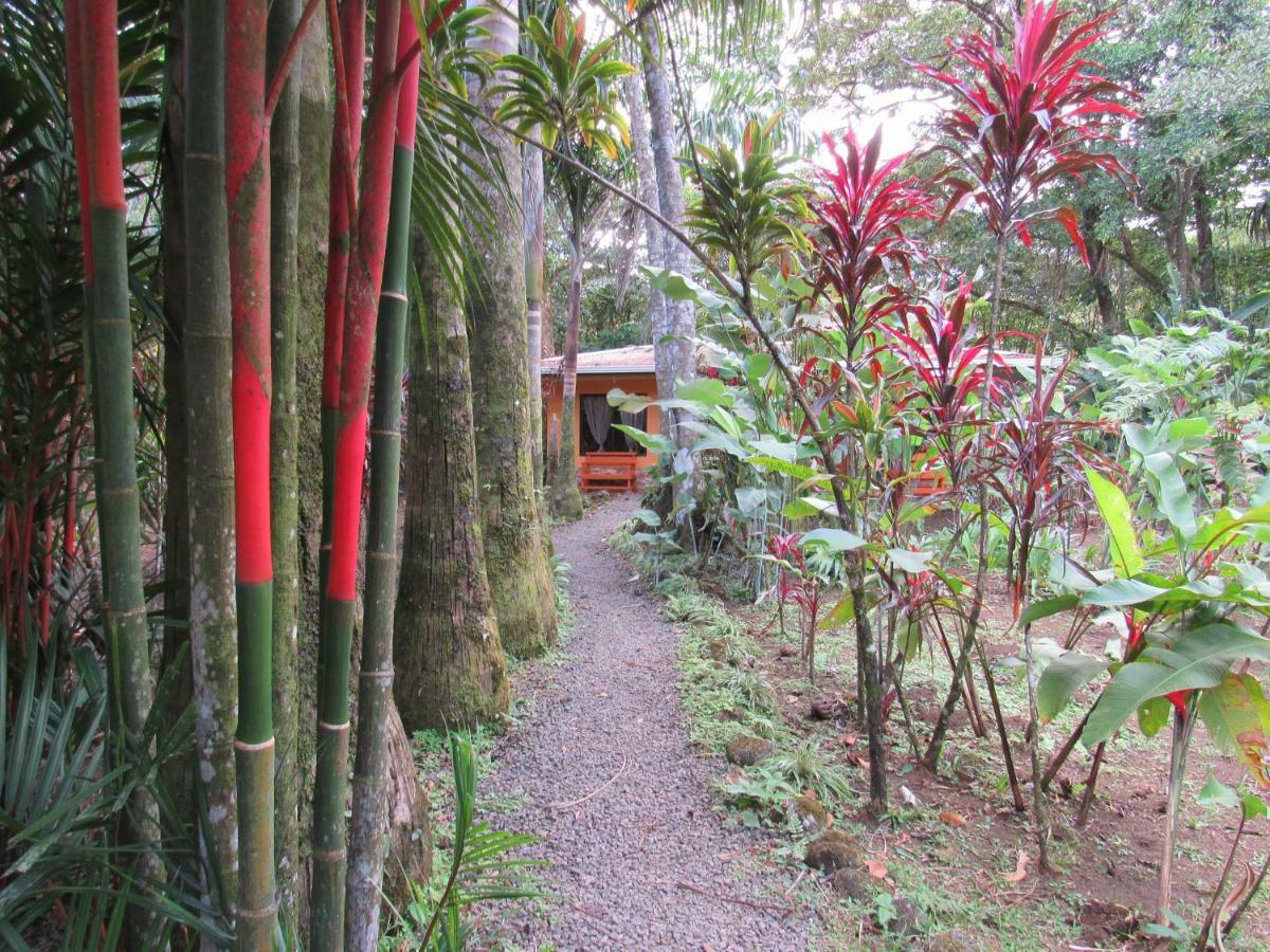 Finca Verde Lodge Bijagua Ngoại thất bức ảnh