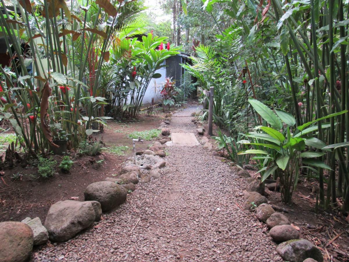 Finca Verde Lodge Bijagua Ngoại thất bức ảnh