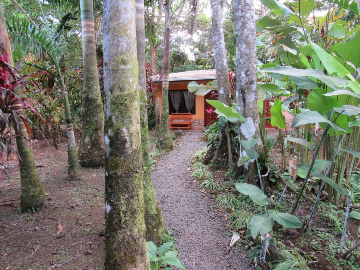 Finca Verde Lodge Bijagua Ngoại thất bức ảnh