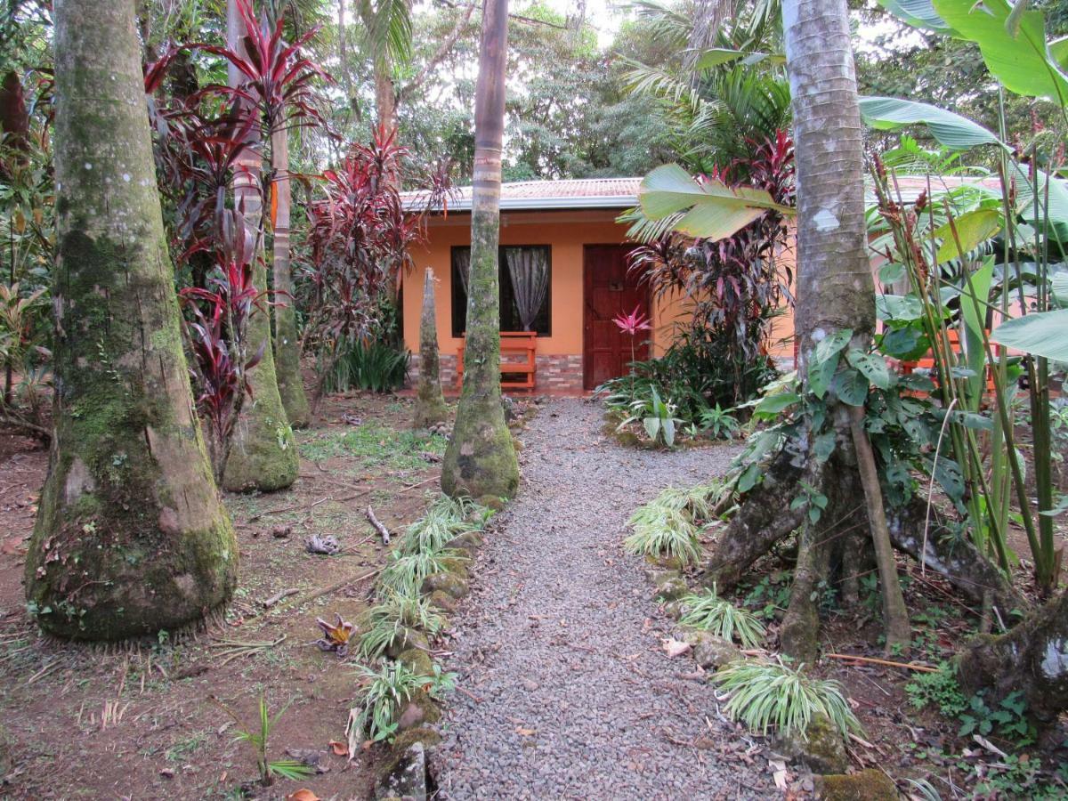 Finca Verde Lodge Bijagua Ngoại thất bức ảnh